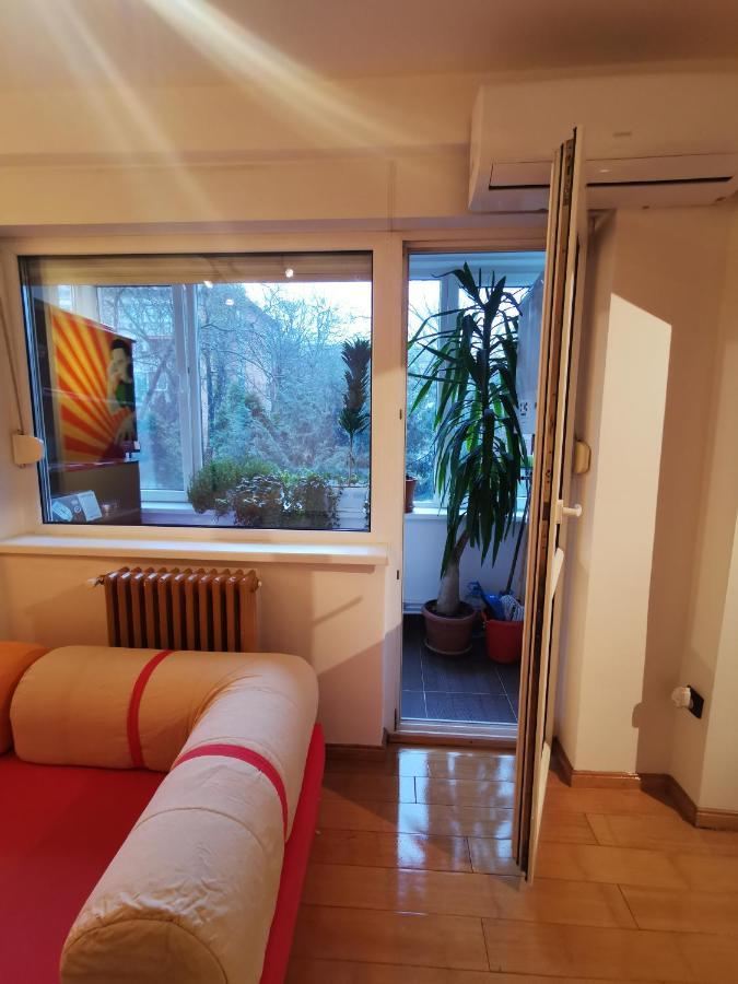 Comfy & Pleasant Apartment 10 Min Walk To Downtown Timisoara Esterno foto
