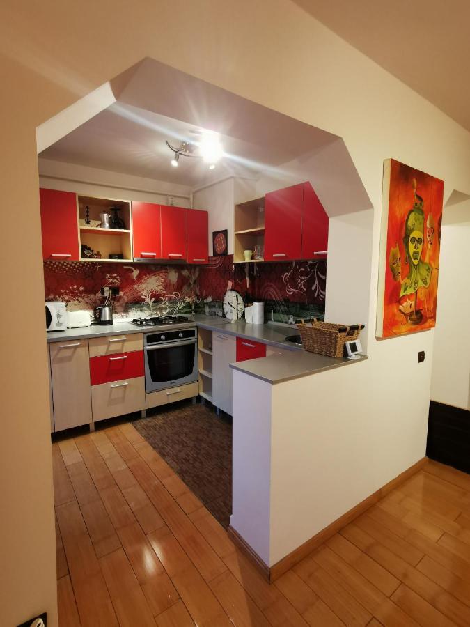 Comfy & Pleasant Apartment 10 Min Walk To Downtown Timisoara Esterno foto