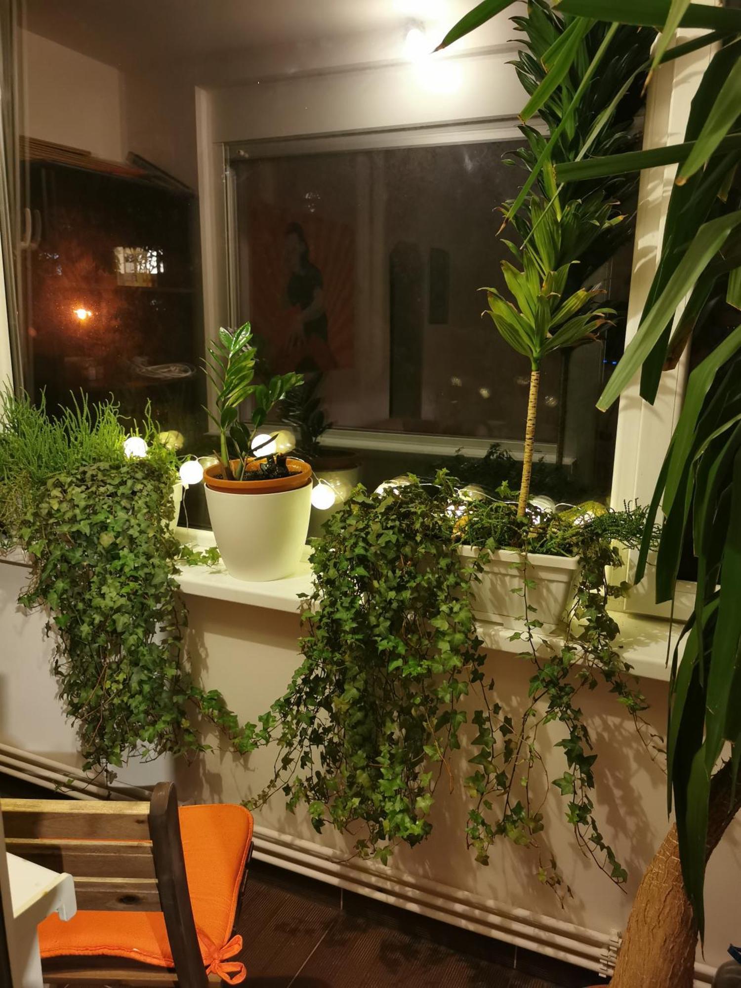 Comfy & Pleasant Apartment 10 Min Walk To Downtown Timisoara Esterno foto
