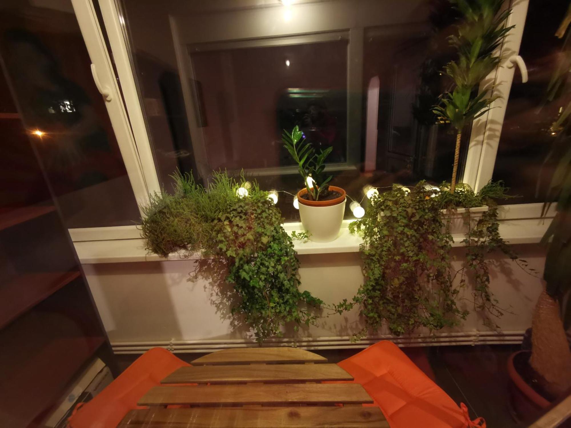 Comfy & Pleasant Apartment 10 Min Walk To Downtown Timisoara Esterno foto