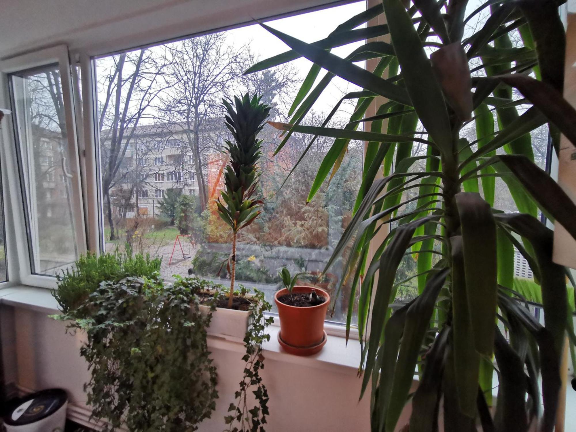 Comfy & Pleasant Apartment 10 Min Walk To Downtown Timisoara Esterno foto