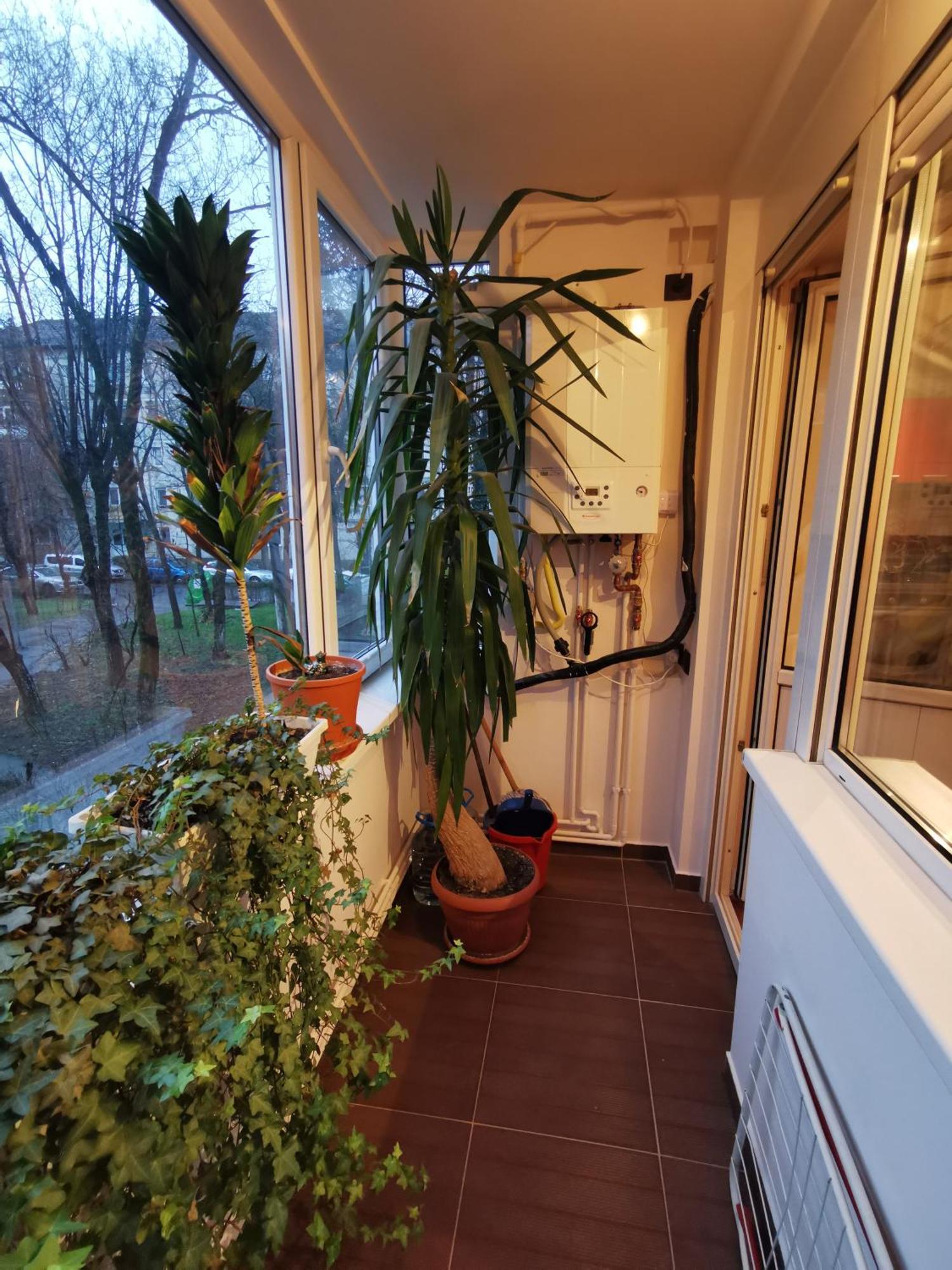 Comfy & Pleasant Apartment 10 Min Walk To Downtown Timisoara Esterno foto